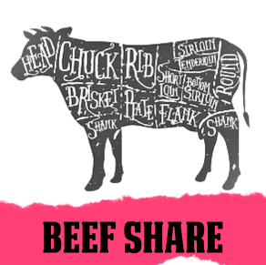 Angus Beef Share – Krogman Homegrown Meats