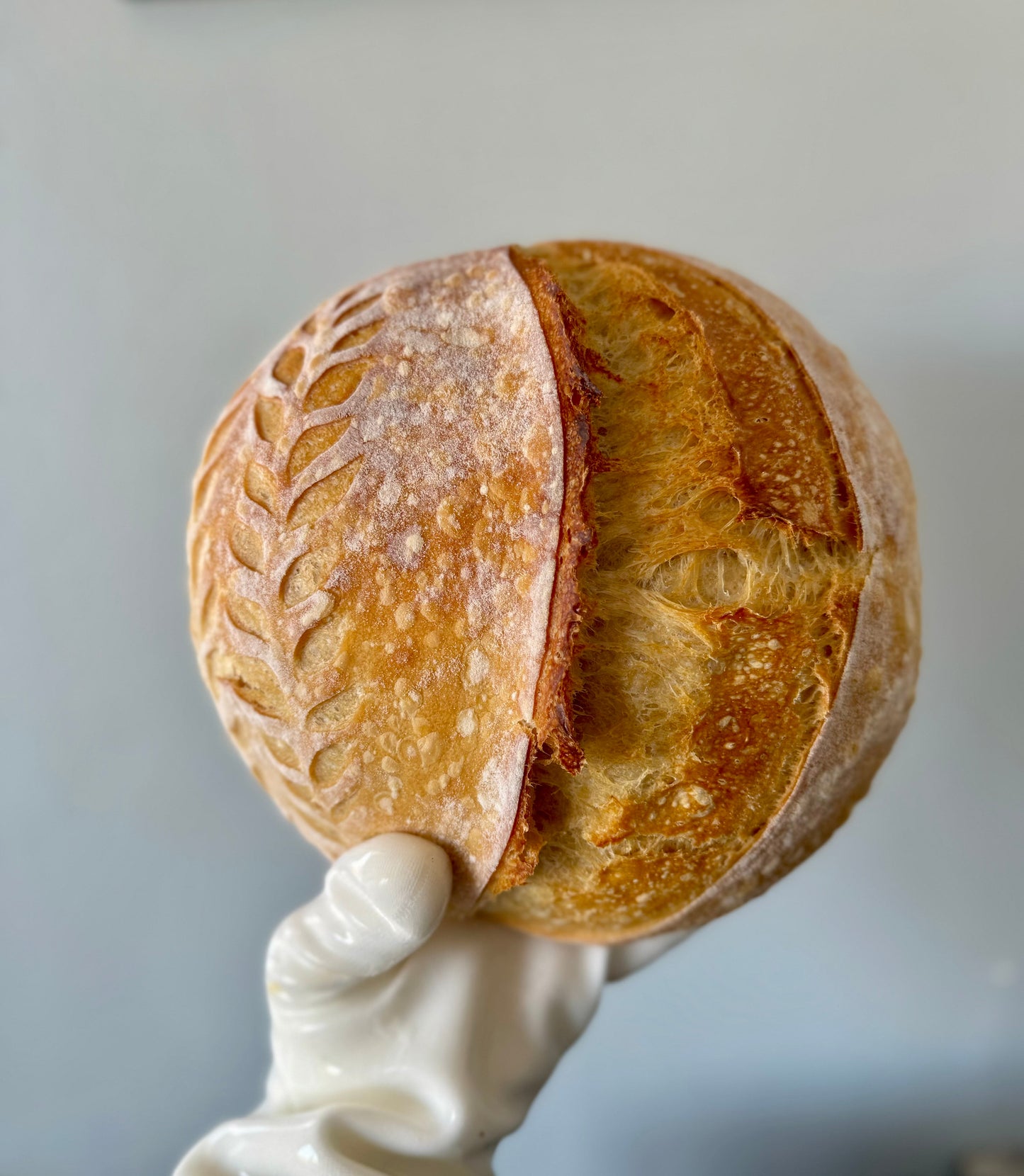 Classic Sourdough - Frozen - 25% OFF