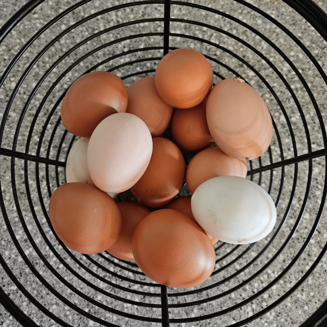 Chicken Eggs